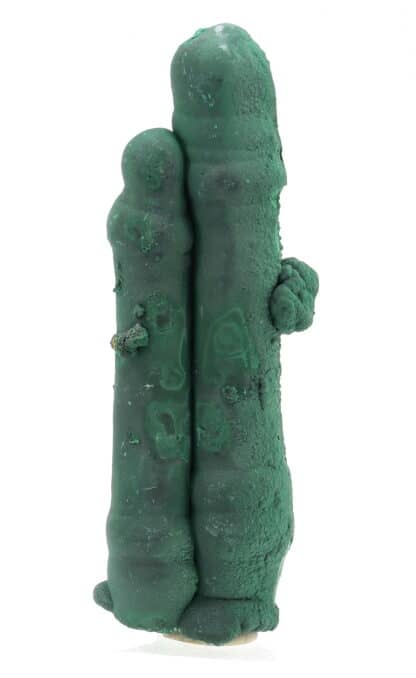 Malachite stalactiforme, Katanga, Congo (RDC).