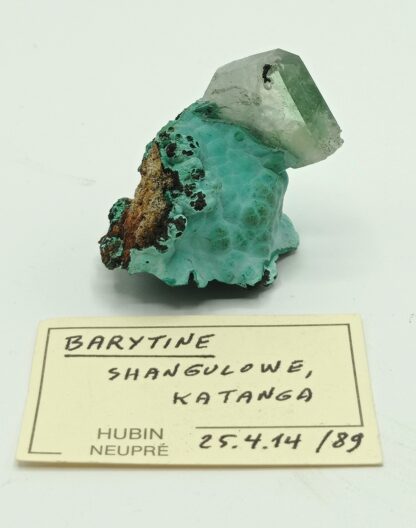 Baryte (Barytine) sur Malachite, Shangulowe, Katanga, Congo.