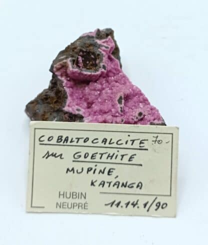 Cobaltocalcite sur Goethite, Mupine, Katanga, Congo (RDC).