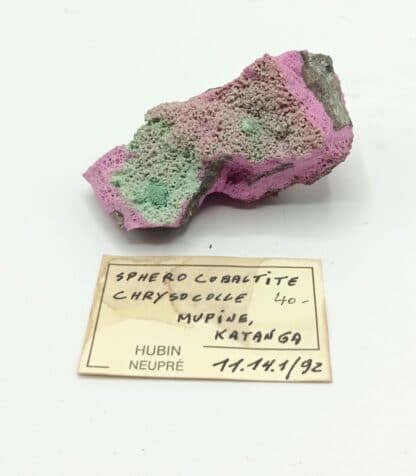 Sphérocobaltite et Chrysocolle, Mupine, Kolwezi, Katanga, Congo (RDC).