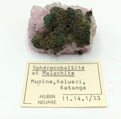 Cobaltocalcite et Malachite, Mupine, Kolwezi, Katanga, Congo (RDC).