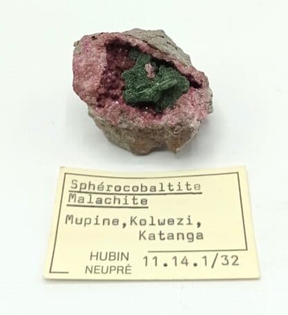 Malachite sur Sphérocobaltite, Musonoi, Kolwezi, Katanga, Congo (RDC).