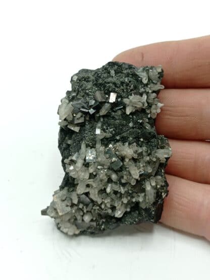 Arsénopyrite, Pyrite, Quartz et Sphalérite, Cornouailles (Cornwall), Royaume-Uni.