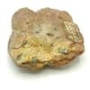 Cristaux de Pyrite dans un micaschiste, Saxe, Allemagne.