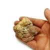 Cristaux de Pyrite dans un micaschiste, Saxe, Allemagne.