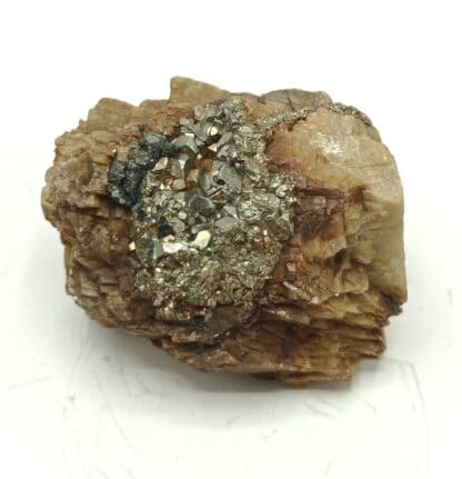 Pyrite sur Sidérite, La Taillat, Allevard, Isère.