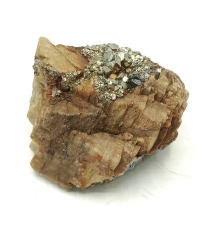 Pyrite sur Sidérite, La Taillat, Allevard, Isère.