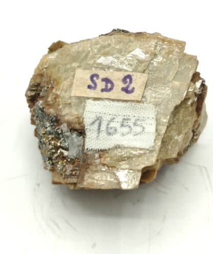 Pyrite sur Sidérite, La Taillat, Allevard, Isère.