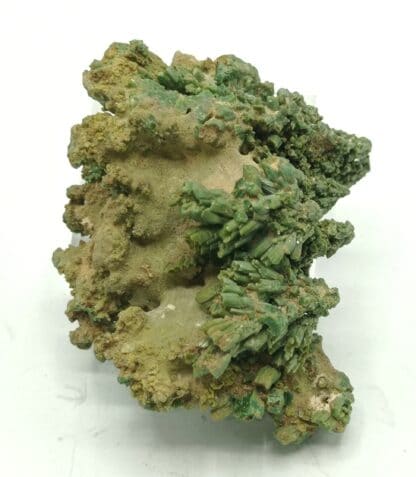 Pyromorphite verte, Les Farges, Ussel, Corrèze, Limousin.