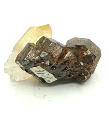 Cristaux de Pyrite et Quartz, Doucy, Tarentaise, Savoie.