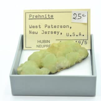 Prehnite, Woodland Park, West Paterson, New Jersey, USA (États-Unis).