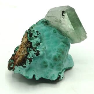 Baryte (Barytine) sur Malachite, Shangulowe, Katanga, Congo.