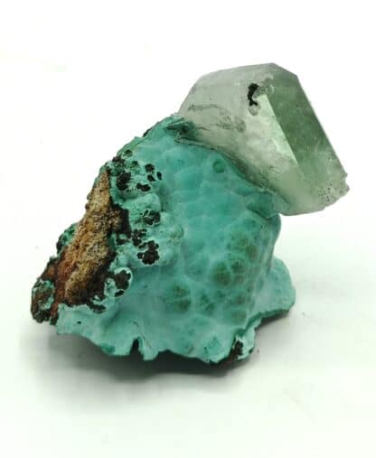 Baryte (Barytine) sur Malachite, Shangulowe, Katanga, Congo.