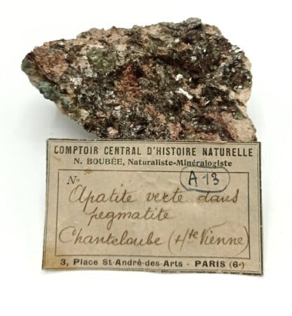 Apatite verte dans une Pegmatite, Chanteloube, Haute-Vienne.