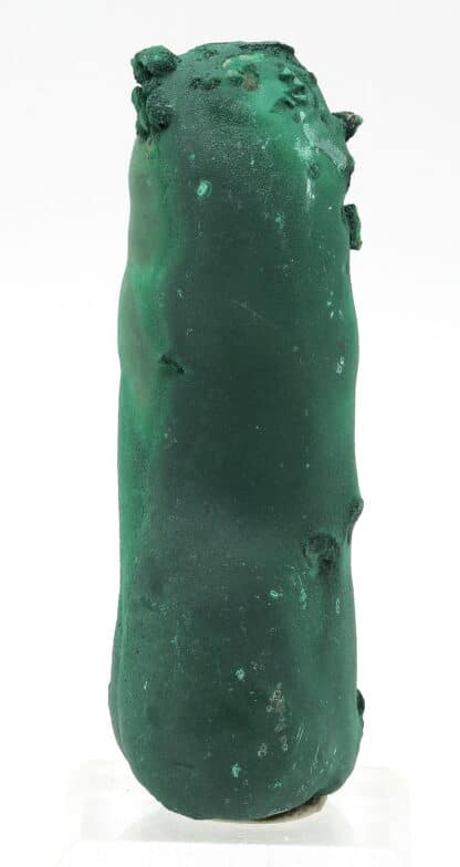 Malachite stalactiforme, Katanga, Congo (RDC).