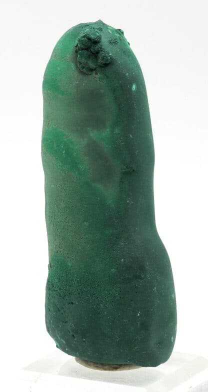 Malachite stalactiforme, Katanga, Congo (RDC).