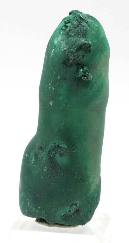 Malachite stalactiforme, Katanga, Congo (RDC).