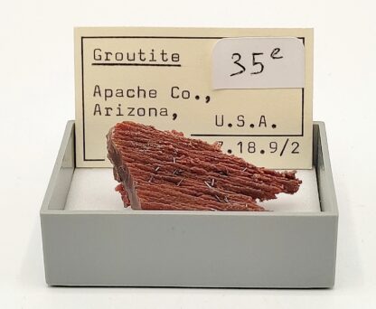 Groutite, Bois pétrifié, Mine Blackwater, Arizona, États-Unis.