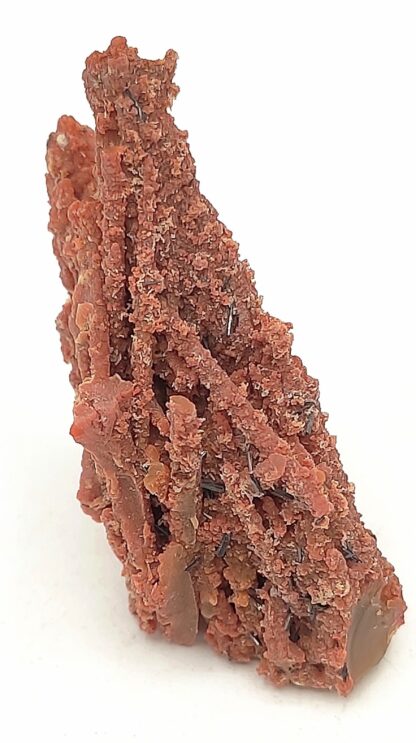 Groutite, Bois pétrifié, Mine Blackwater, Arizona, États-Unis.