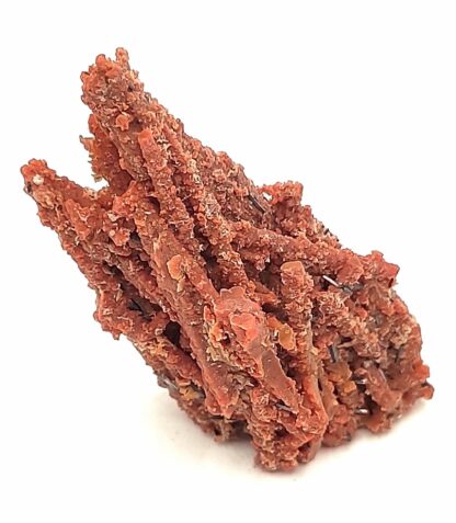 Groutite, Bois pétrifié, Mine Blackwater, Arizona, États-Unis.