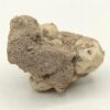Leucite, Roccamonfina, Caserte, Campanie, Italie.