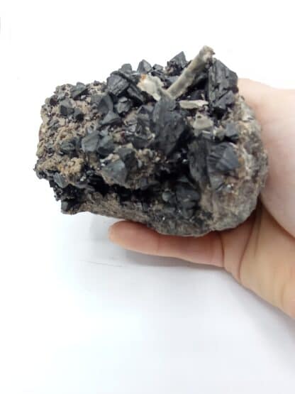 Sphalérite (Blende), Mapimi, Durango, Mexique.