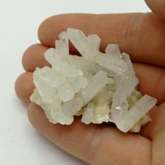 Célestine et Aragonite, Caltanissetta, Sicile, Italie.