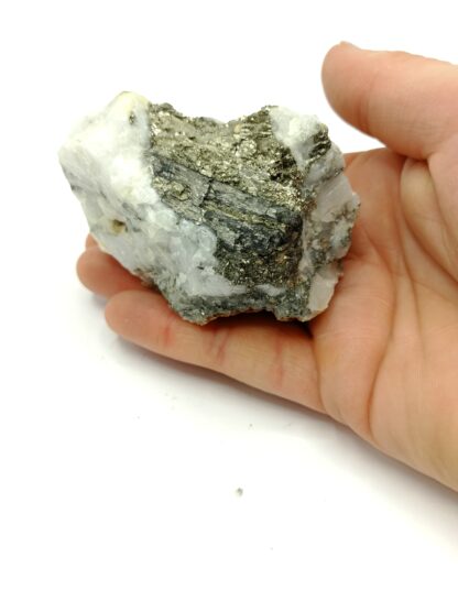 Bismuthinite et Pyrite, Mine de Meymac, Corrèze.