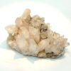 Danburite, San Luis Potosi, Mexique.