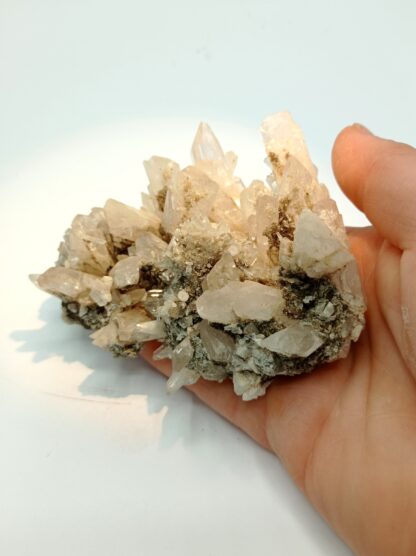 Danburite, San Luis Potosi, Mexique.