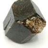 Tourmaline (Dravite), Yinnietharra station, Australie.