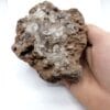Opale Hyalite, Toowoomba, Queensland, Australie.