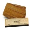 Aragonit sprudelstein (Aragonite), Karlsbad, Böhmen, Tchéquie.