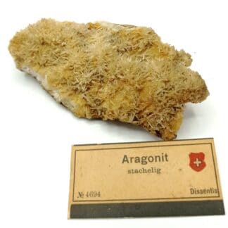 Aragonite stachelig (Aragonite), Dissentis, Suisse.
