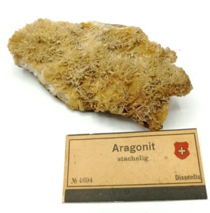 Aragonite stachelig (Aragonite), Dissentis, Suisse.