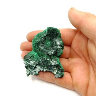 Malachite fibreuse, Katanga, République Démocratique du Congo.