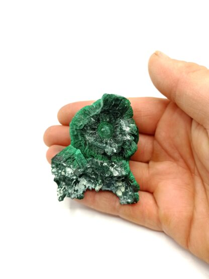 Malachite fibreuse, Katanga, République Démocratique du Congo.