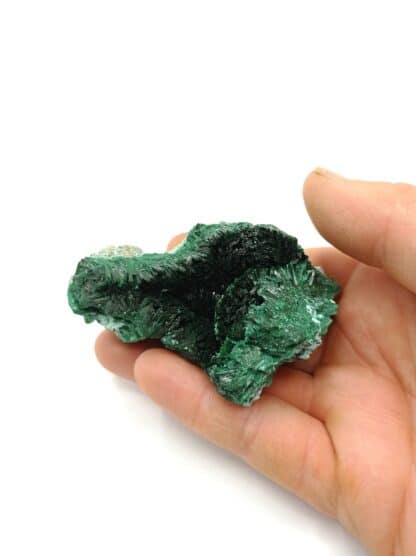 Malachite fibreuse, Katanga, République Démocratique du Congo. – Image 6