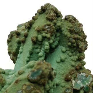 Chrysocolle sur Quartz, Chili.