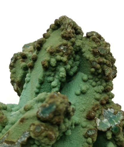 Chrysocolle sur Quartz, Chili.