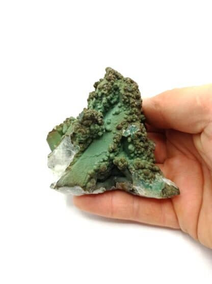 Chrysocolle sur Quartz, Chili.