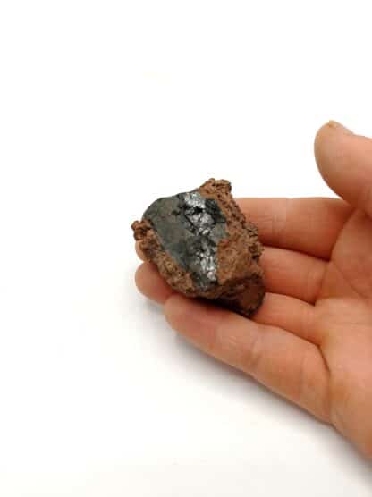 Hornblende basaltique, Face Sud du Puy de Corent, Puy-de-Dôme, Auvergne.