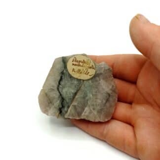 Fluorite (Fluorine) marbrée polie, Néris-les-Bains, Allier, Auvergne.