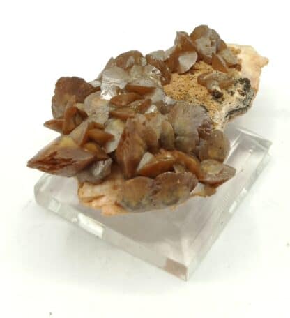 Cristaux de Wulfénite et Baryte, Lantignié, Beaujeu, Rhône.