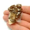 Cristaux de Wulfénite et Baryte, Lantignié, Beaujeu, Rhône.