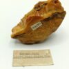 Mücken-Opal (Opale), Nagy-Falwa, Hongrie.