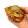 Mücken-Opal (Opale), Nagy-Falwa, Hongrie.
