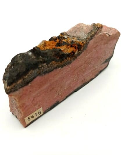 Rhodonit (Rhodonite) manganifère, Jekatarinenburg, Ural (Oural), Russie.