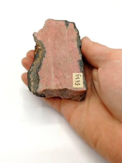 Rhodonit (Rhodonite) manganifère, Jekatarinenburg, Ural (Oural), Russie.