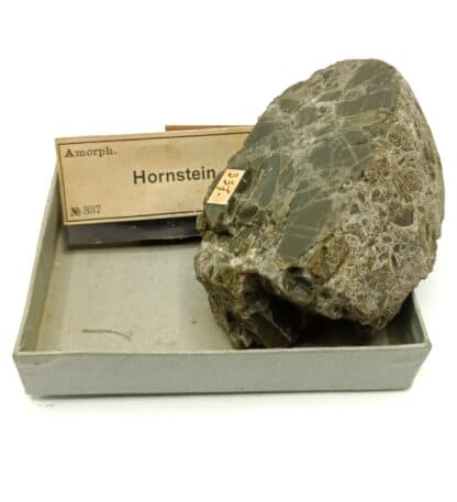 Hornstein (Chert), Aaregeschiebe (Massif de l’Aar), Suisse.